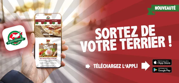 PIZZA RENARD STRASBOURG