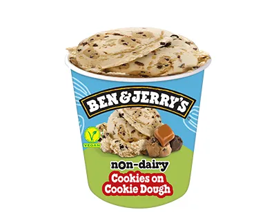 Non Dairy - Cookies on Cookie Dough  - 465ml