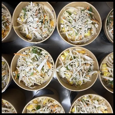 MAXI Bouillon thaï POULET