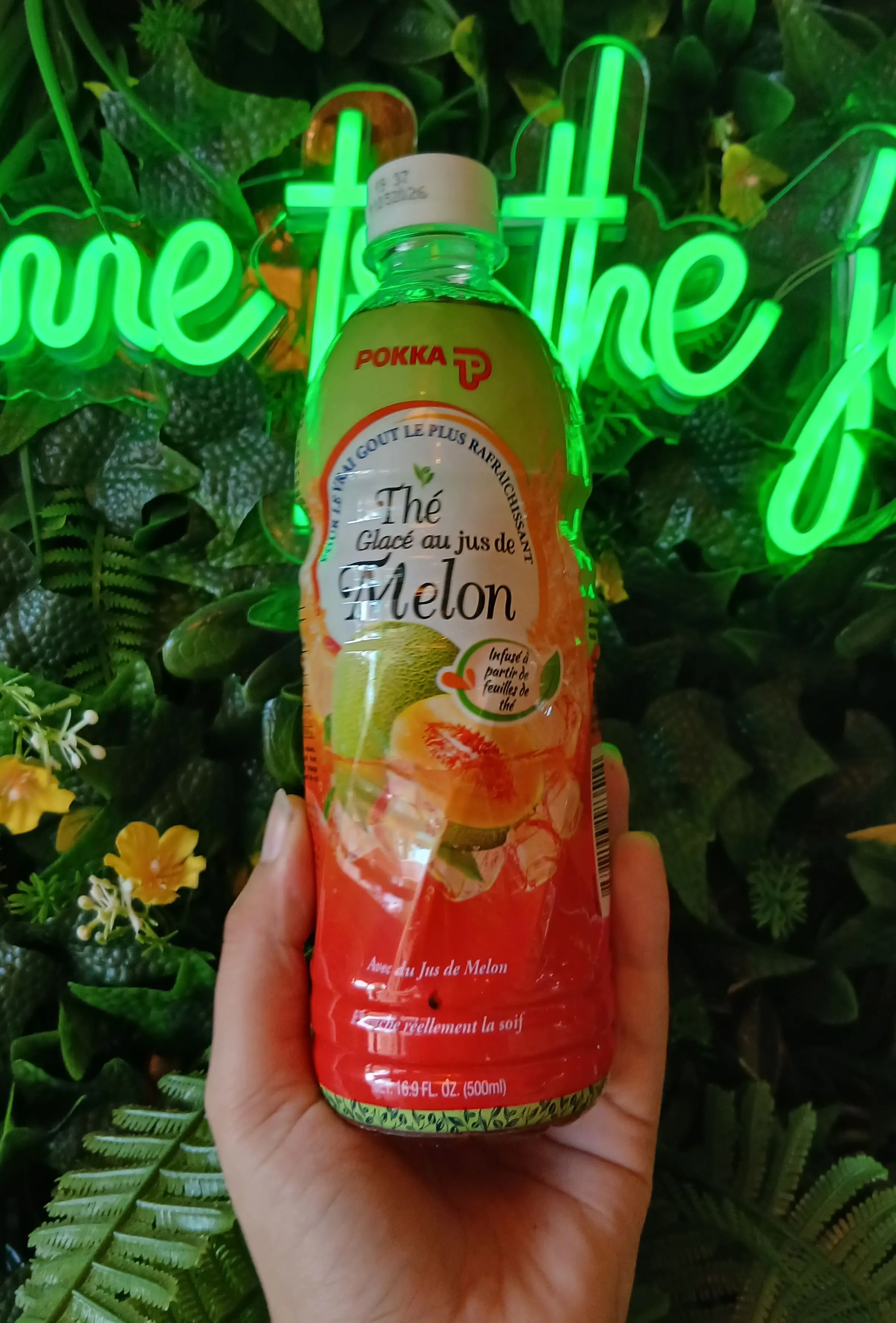 THÉ POKKA MELON