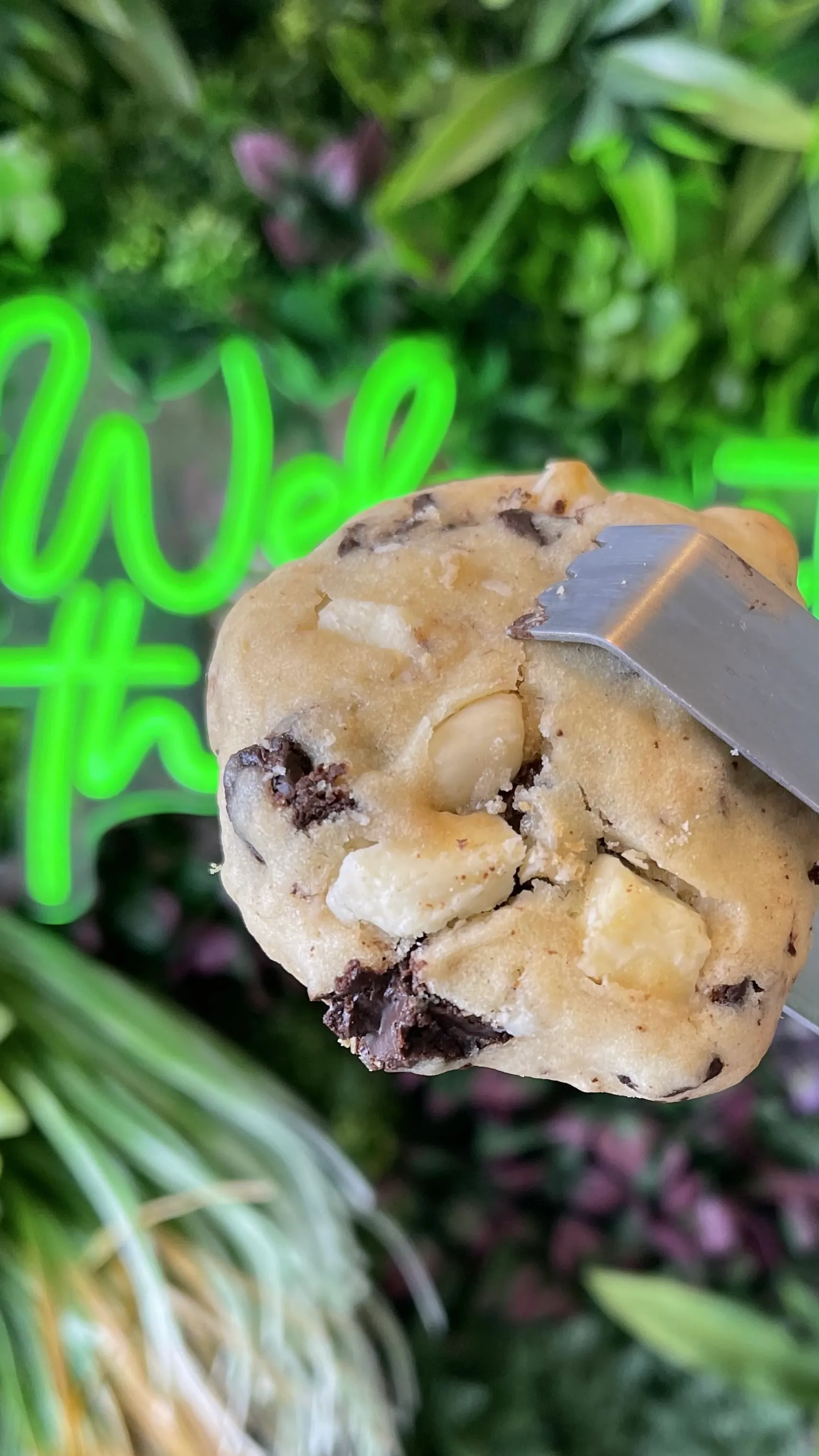 COOKIE DE LA MAISON
