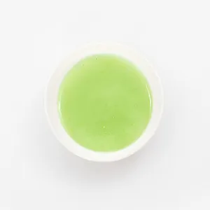 Homemade Mint Yogurt &#40;D&#41;