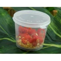 PIMENT FRAIS
