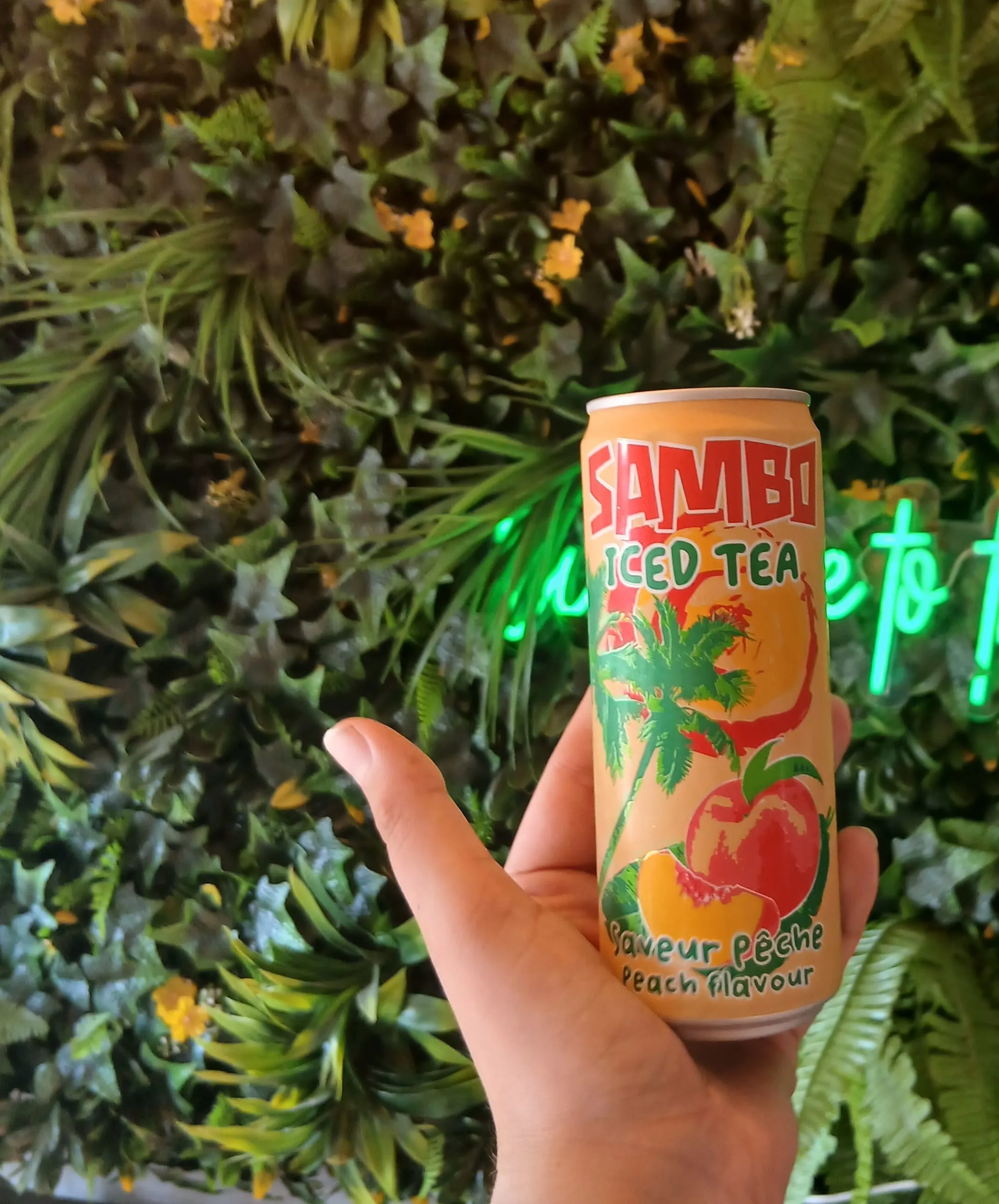 SAMBO ICE TEA PÊCHE 