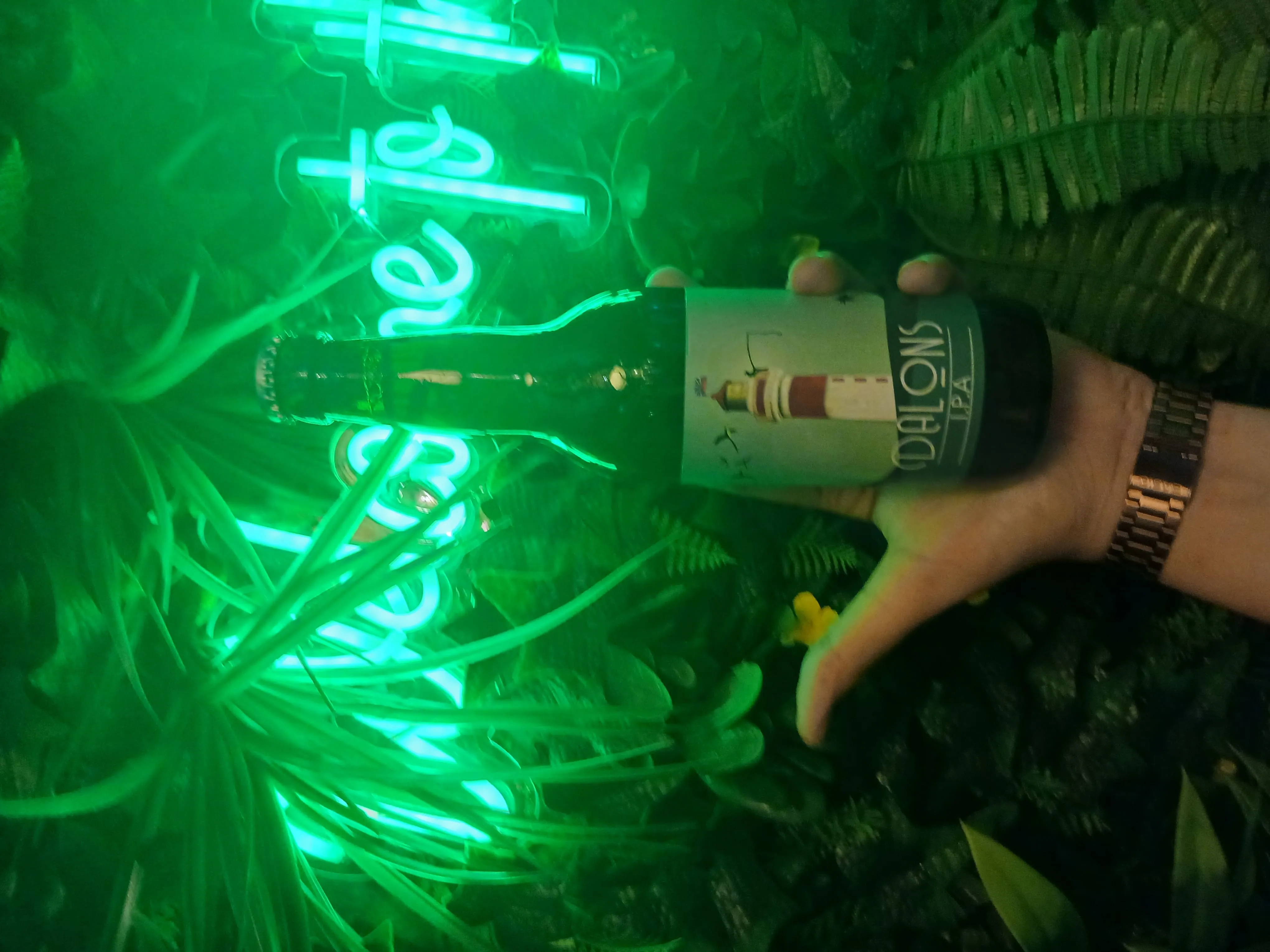 BIERE DALON  IPA