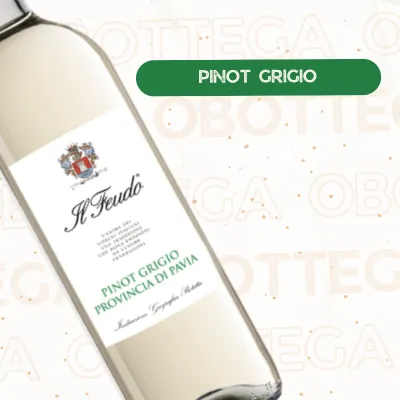 Pinot Grigio DOC delle Venezie – Fraîcheur et Élégance Italienne