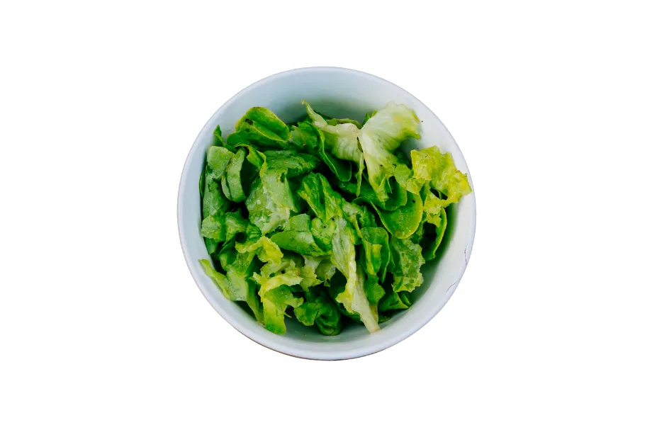 Salade verte