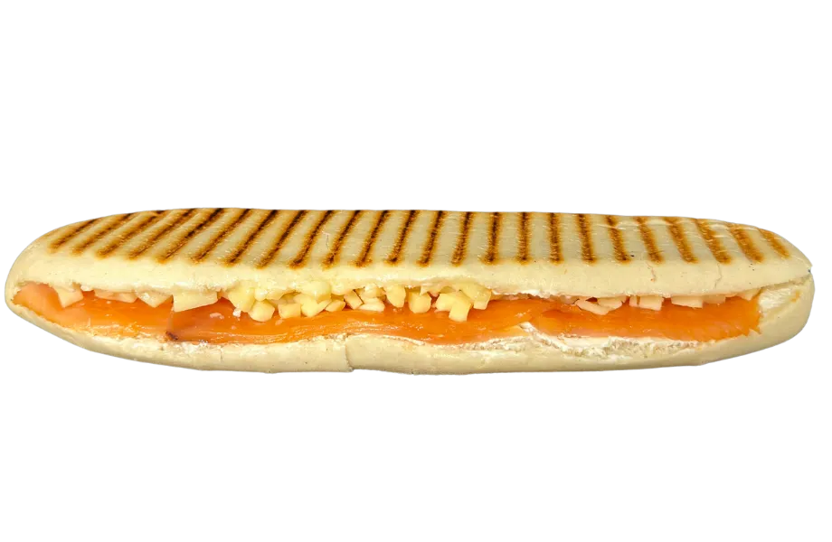 PANINI SAUMON