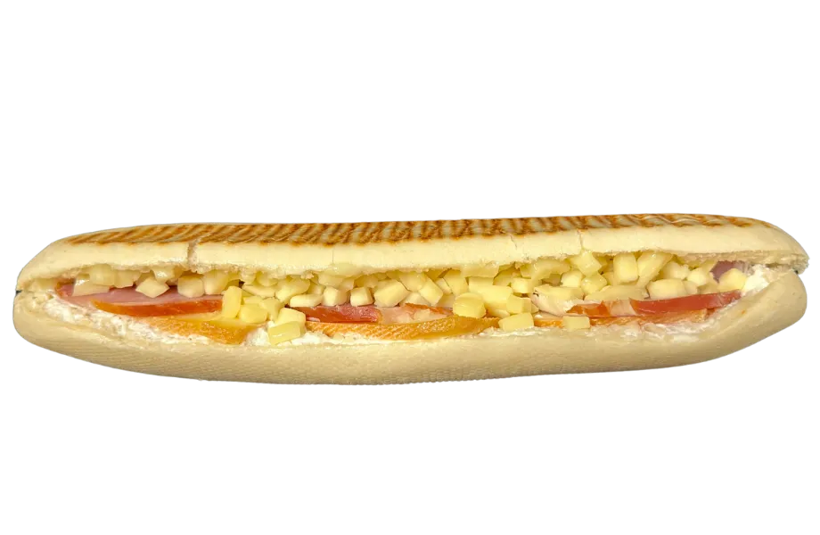 PANINI RACLETTE