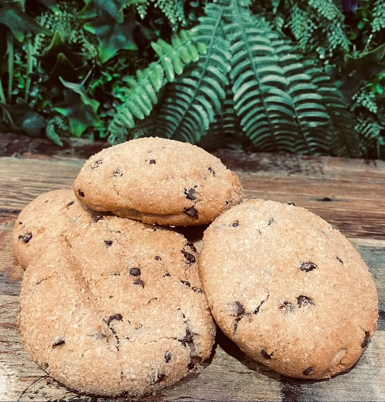 COOKIE XL BOUNTY