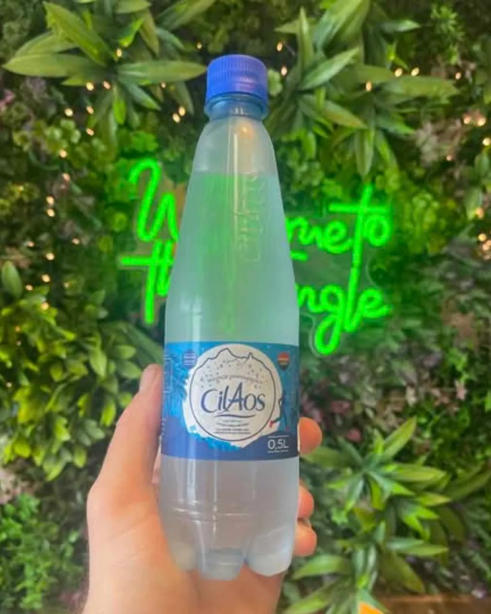 EAU GAZEUSE CILAOS 50 CL 