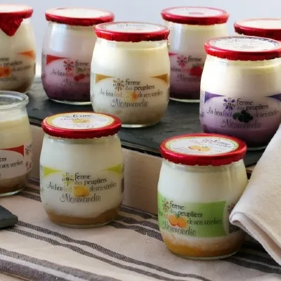 Yaourt Abricot &#40;125g&#41;