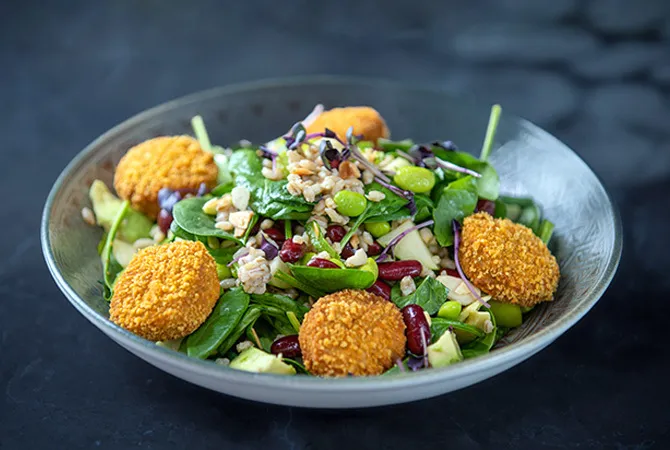 Salad-Falafel & Barley