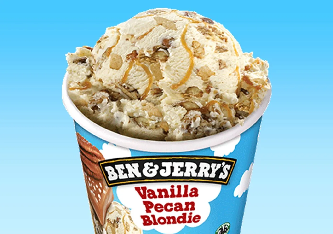 VANILLA PECAN 465 ML