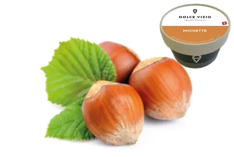 Noisette