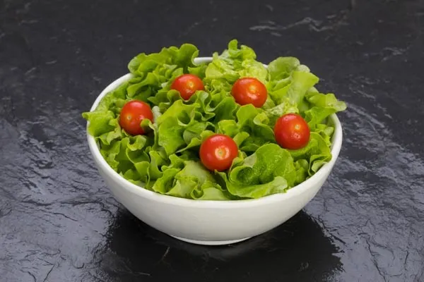 SALADE VERTE TOMATE