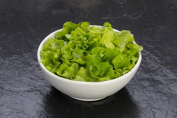 SALADE VERTE