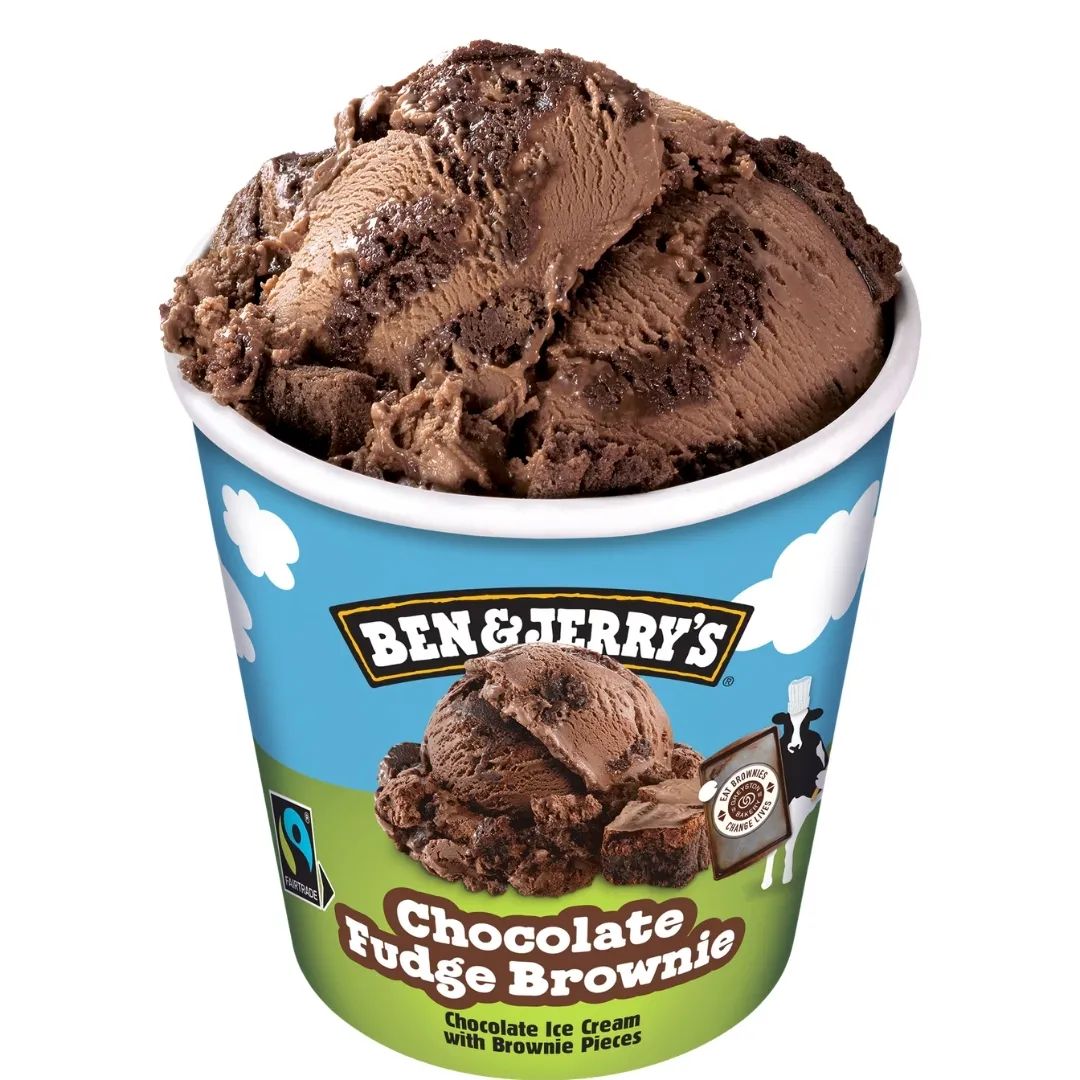 Chocolate Fudge Brownie - 465ml