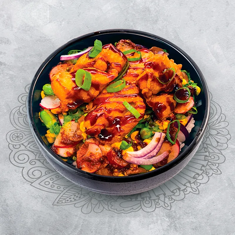 DONBURI CHICKEN KARAAGE