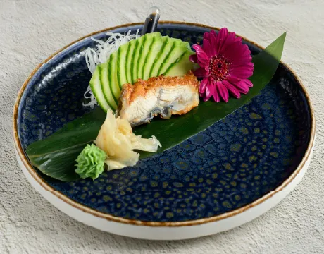 Sashimi-Unagi