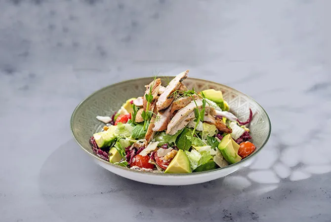 Salad-Grilled Chicken Avocado