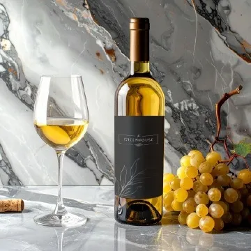 Montecampo Pinot - By Glass