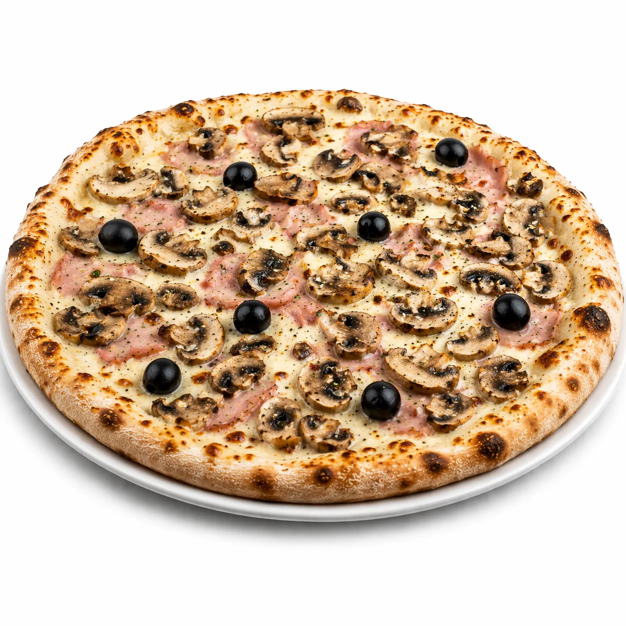 REGINA BIANCA (reine blanche)