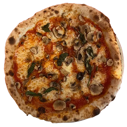 Parmato