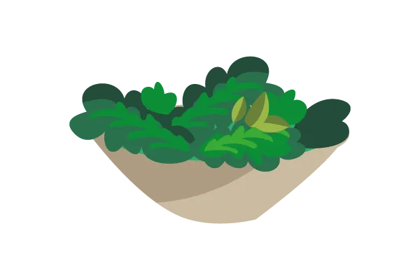 Salade Grecque