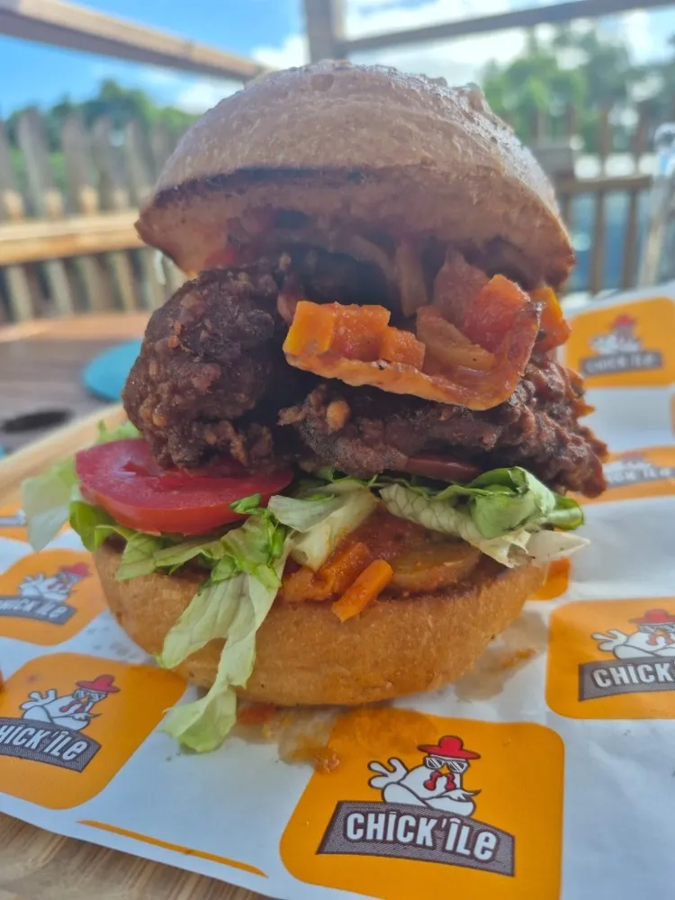 Burger - l'Intru !