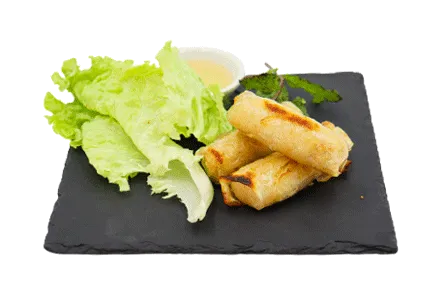 270- nems poulet