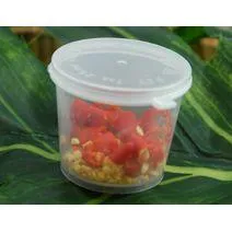 PIMENT FRAIS