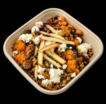 Salade d'Epeautre