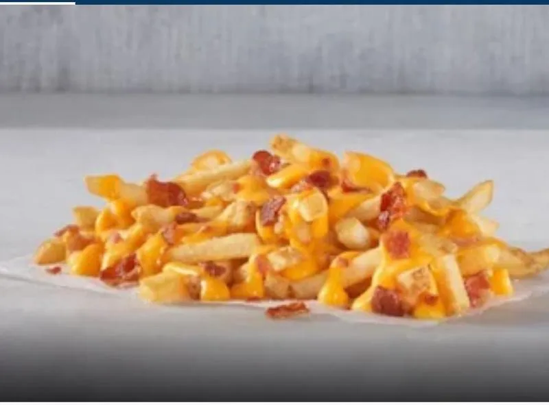 Bacon Cheese Fries 