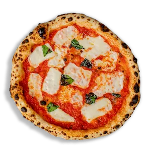Vegan Margherita